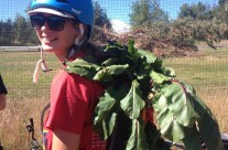 Middle School Farm to Table Bike Camp July 26-31