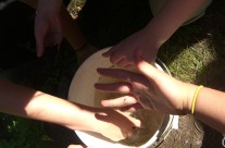 STEM Education