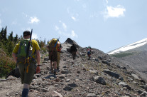 CMS to Partner with Mt. Adams Institute